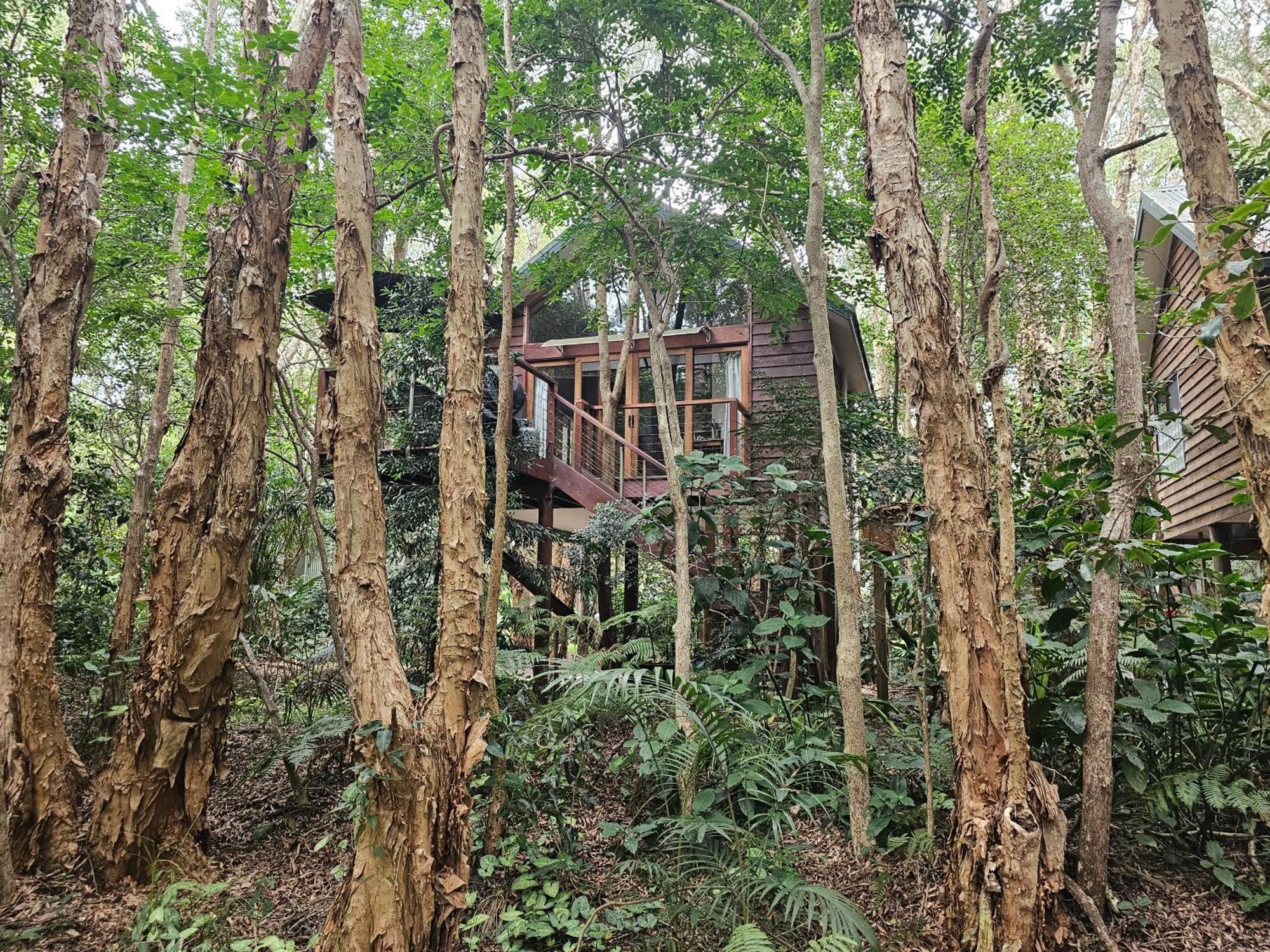 Wanderers Retreat Hotel Nelson Bay Eksteriør billede