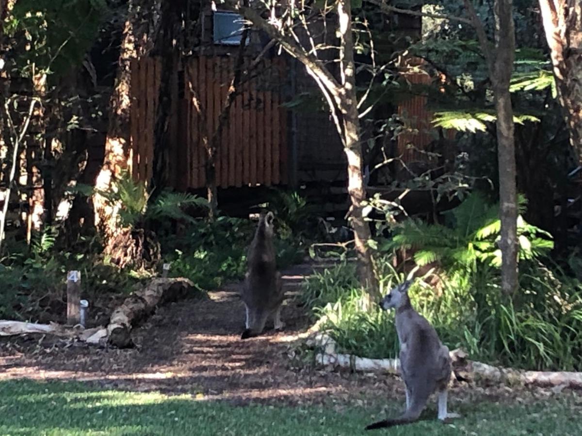 Wanderers Retreat Hotel Nelson Bay Eksteriør billede